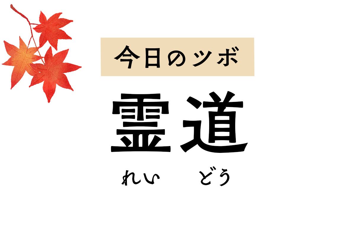 不眠や気分のゆらぎに作用するツボ「霊道」。動悸が激しく胸が痛いときにも用います
