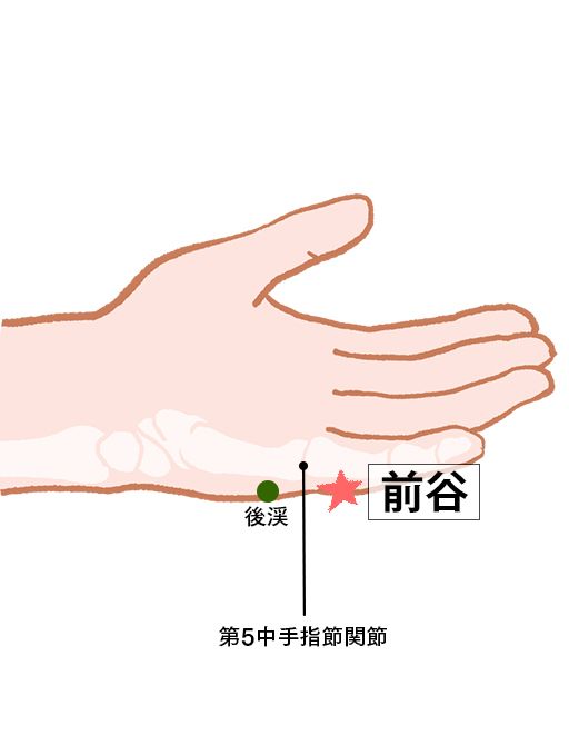 前谷（ぜんこく）：小腸経のツボ