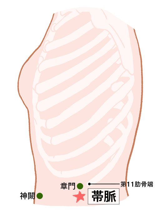 帯脈（たいみゃく）：胆経のツボ