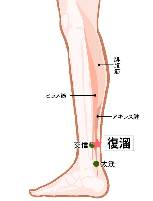 復溜（ふくりゅう）：腎経のツボ