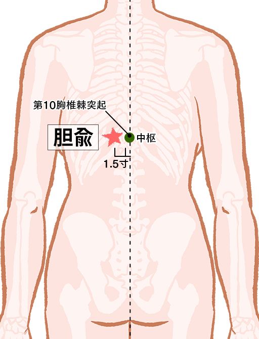 胆兪（たんゆ）：膀胱経のツボ
