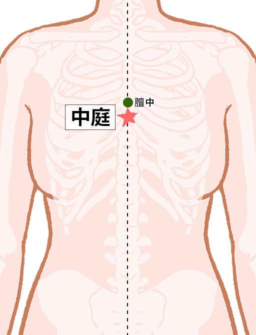中庭（ちゅうてい）：任脈のツボ
