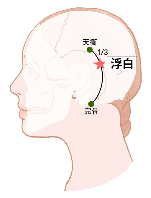 浮白（ふはく）：胆経のツボ