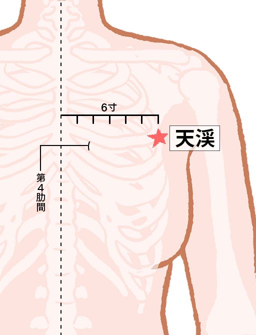 天渓（てんけい）：脾経のツボ