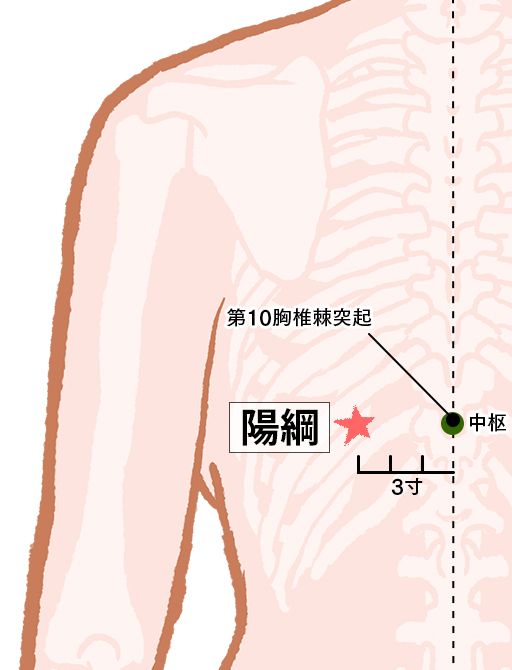 陽綱（ようこう）：膀胱経のツボ