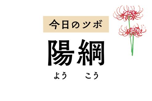 腹痛や下痢など消化器症状を改善する「陽綱」のツボ。肝を整え黄疸を緩和する働きも