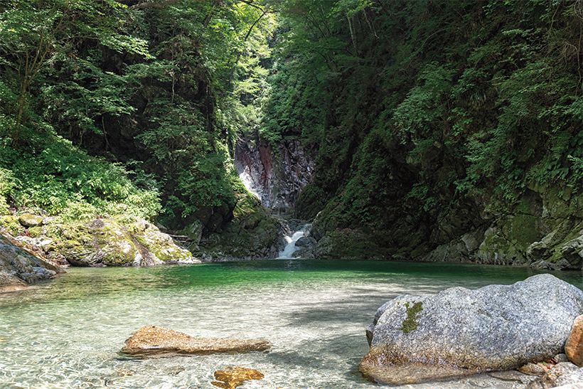 川底まで見える透明な水が流れる尾白川。水源地で味わうコーヒーは格別。
