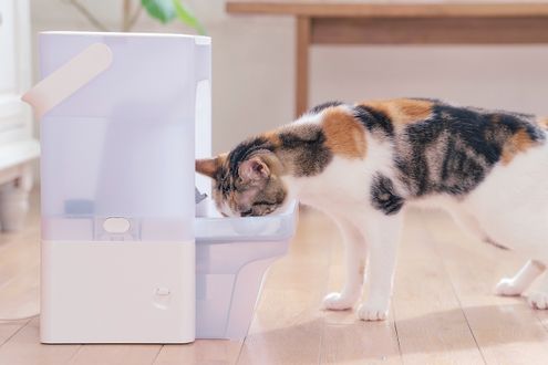 ペット用「AIカメラ付き自動給水機」　愛犬・愛猫の顔を認識し、飲水状況を記録します