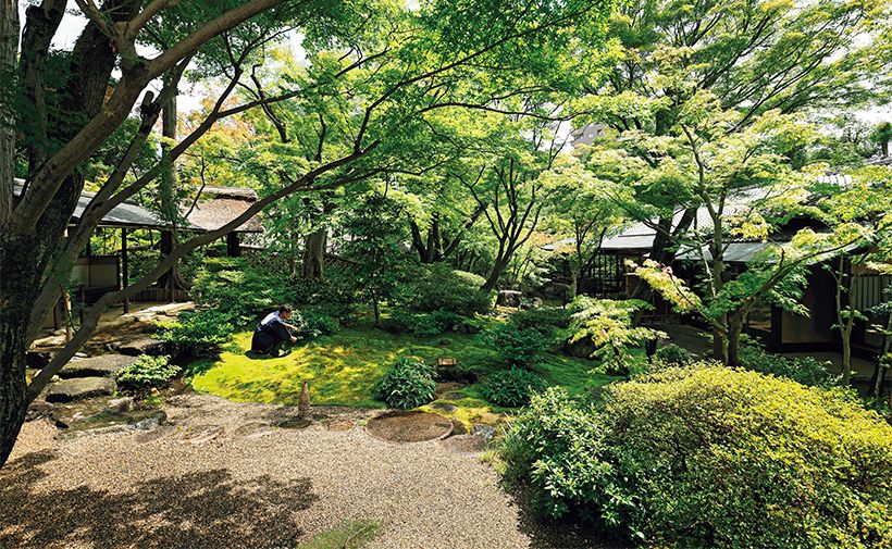 秋は紅葉、春は桜花と、四季の移ろいを感じさせる日本庭園。緑の絨毯のような見事な苔も見どころの一つ。昼席は散策も楽しめる。