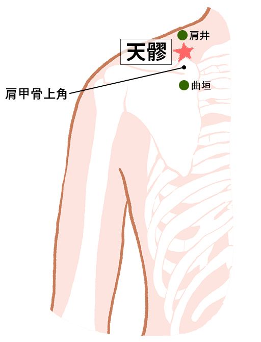 天髎（てんりょう）：三焦経のツボ
