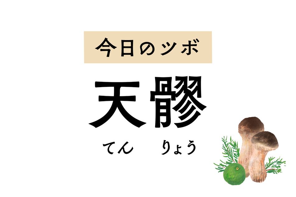 「天髎」は胸のほてり感や肩こり、首のこわばりを緩和。体内の余分な熱を冷まします