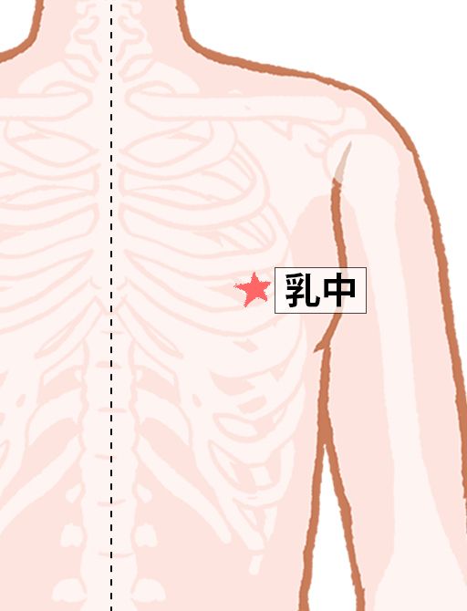 乳中（にゅうちゅう）：胃経のツボ