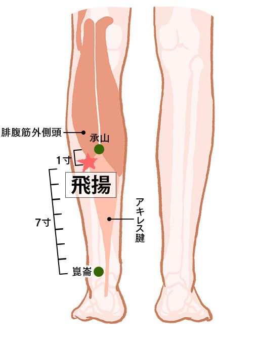 飛揚（ひよう）：膀胱経のツボ