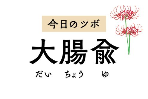 名前の通り大腸の不調に効く「大腸兪」。下痢や便秘のほか、腰痛や坐骨神経痛にも