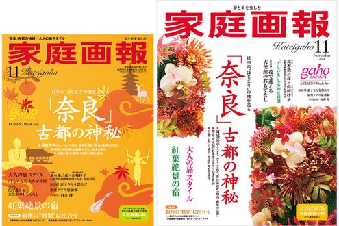 【10/1発売】『家庭画報』　2026年11月号　「奈良」古都の神秘／別冊付録 銀座の“特別”に出合う
