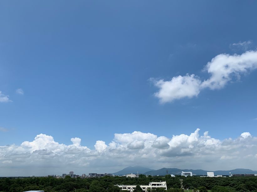 写真／荒木健太郎
