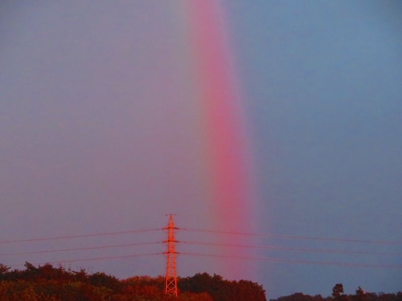 写真／荒木健太郎
