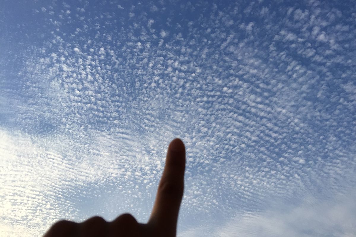 秋の空で出合ういわし雲とひつじ雲。指一本でできる見分け方