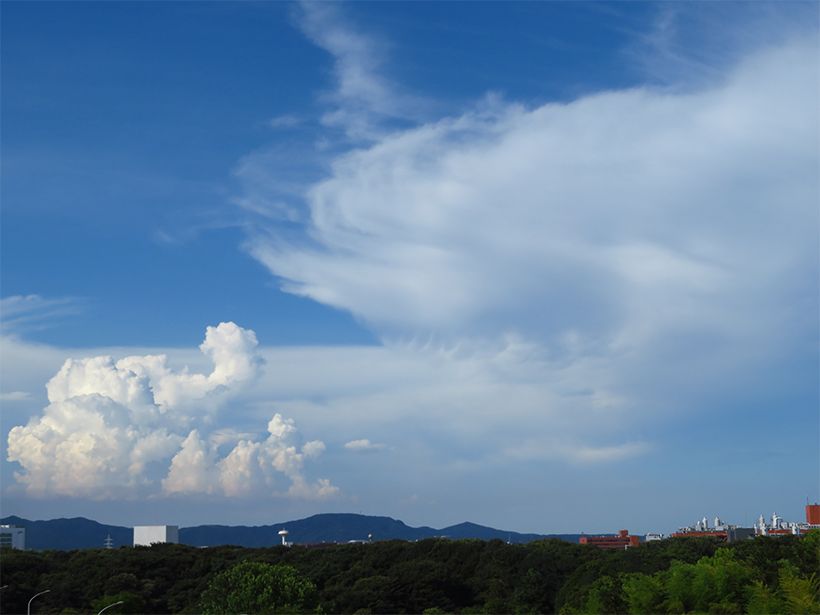 写真／荒木健太郎