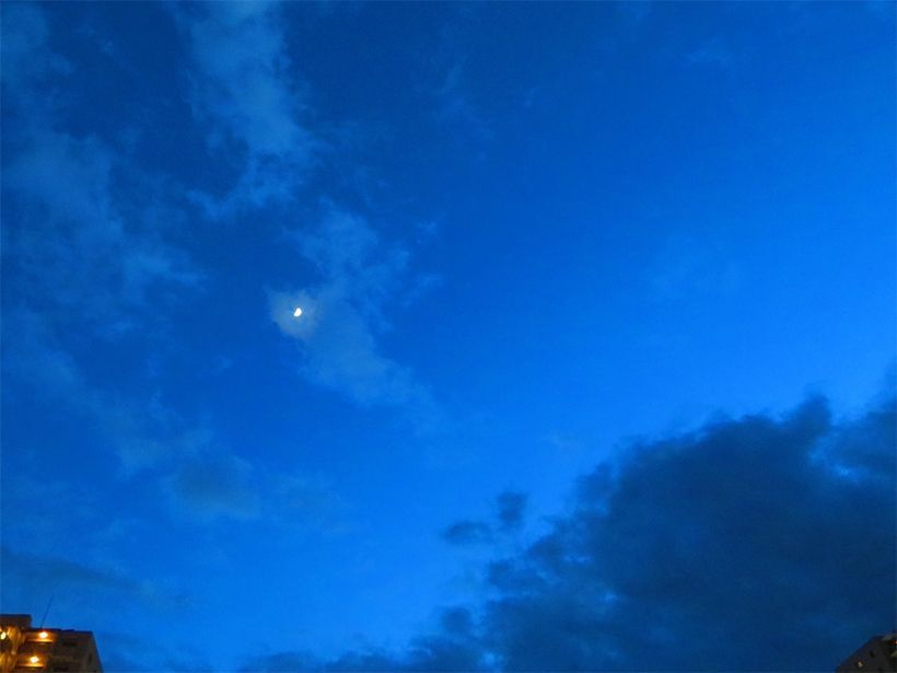 写真／荒木健太郎