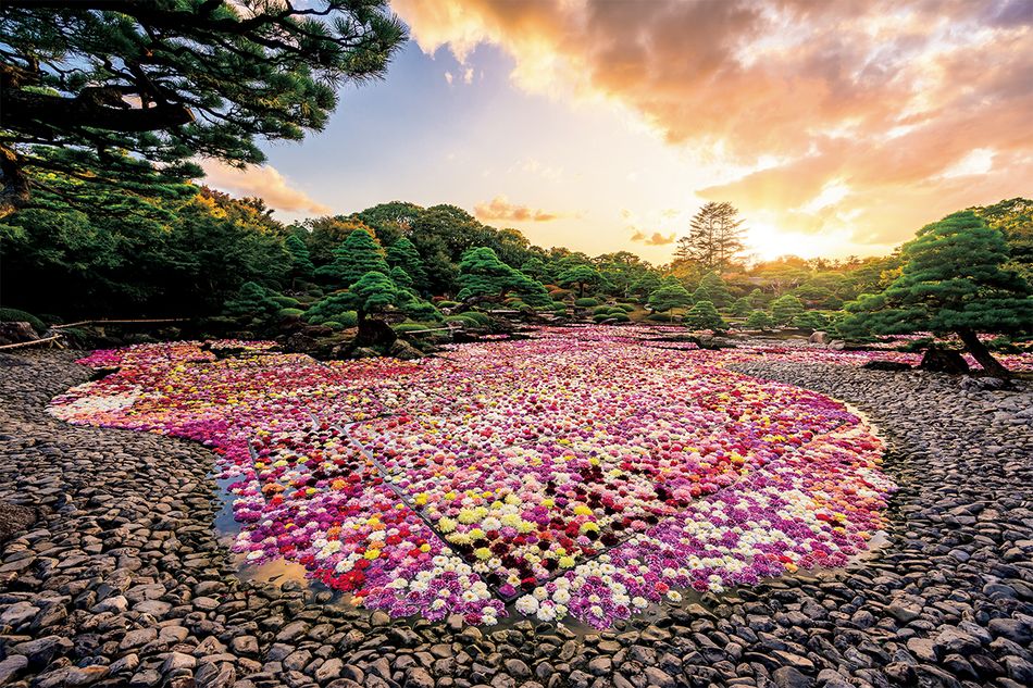島根の由志園にて、花匠・佐々木直喜氏が「池泉天竺牡丹」に挑む