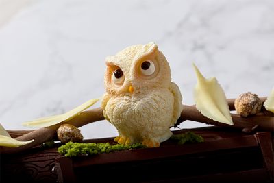 新作「ラ・ポスト・デュ・ラ・フォレ」。ポストの上には、チョコレート細工のフクロウが。