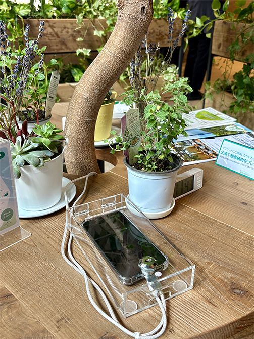 短時間スマートフォンから離れて心身を休める「グリーン・デジタルデトックス」。手前のボックスにスマホを入れて鍵をかけたら、鍵をスタッフにあずかってもらい、周囲の緑との触れ合いを楽しむ。
