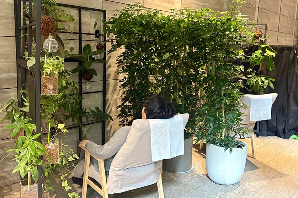 植物が持つ休息効果を体験。オフィスの真ん中で緑に触れる「東京グリーンビズ・ラウンジ」