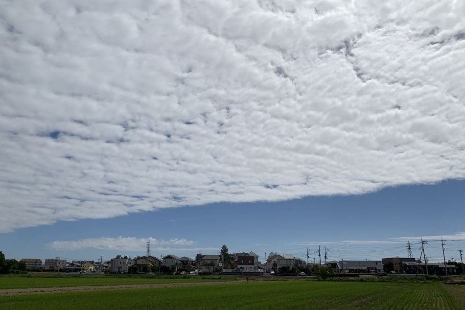 「空の境界線」を見たことはありますか？ 青空と雲がくっきり分かれる仕組み