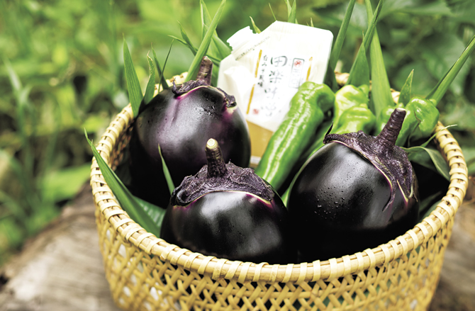 大原千鶴の心に残るレシピ「賀茂なすのえびあんかけ」