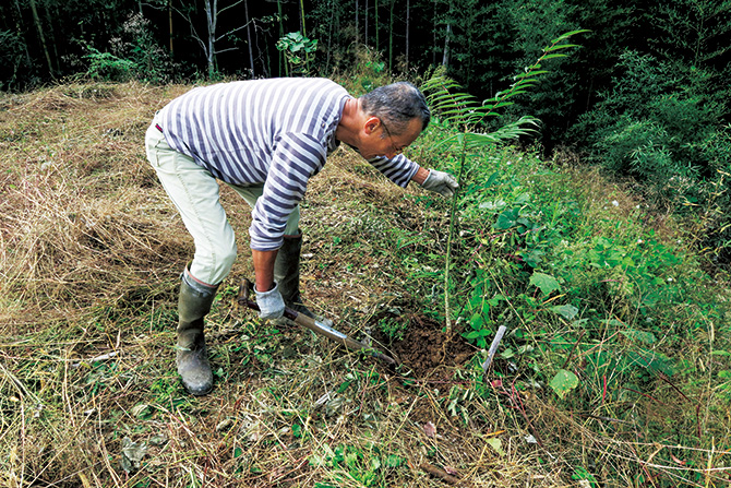 今森光彦さん、農家になる。カラスザンショウの木
