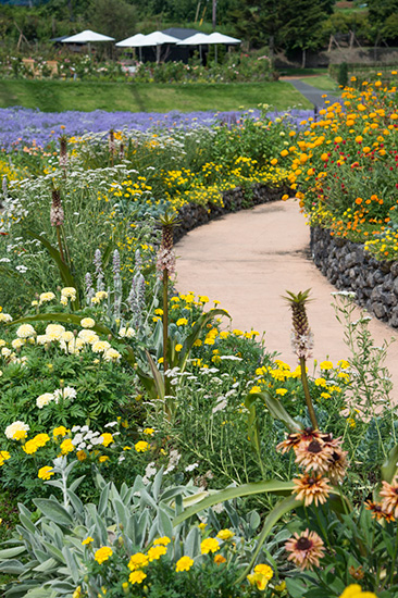 吉谷桂子さんがプロデュースするあらたな花の名所！群馬・中之条ガーデンズ