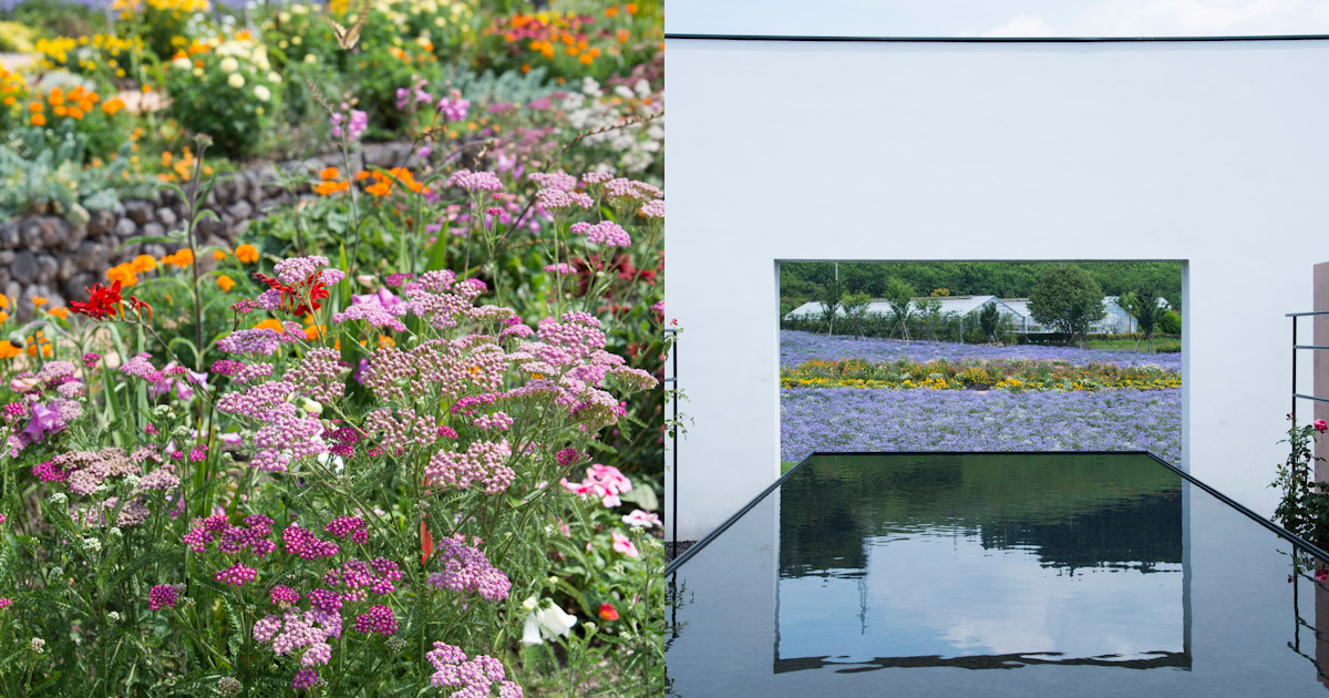 吉谷桂子さんがプロデュースするあらたな花の名所！群馬・中之条ガーデンズ