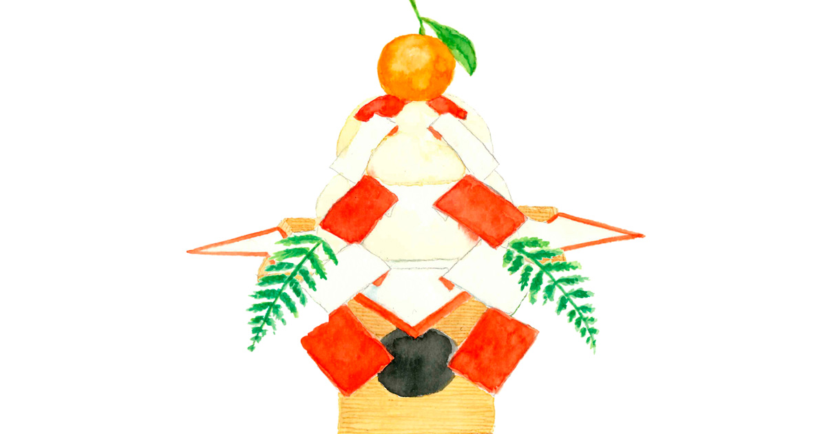 橙 かぼす苗木♪お正月供え餅の上の 蜜柑レモンの横に♪