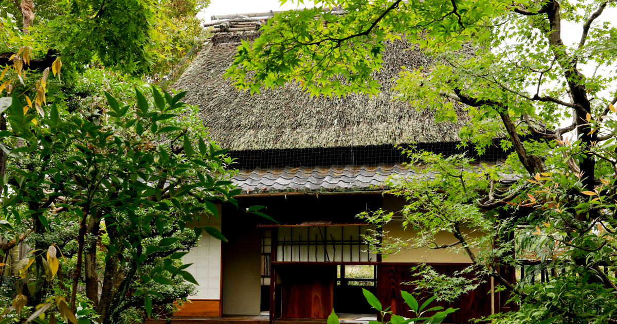 江戸時代から京都の街中、鴨川沿いに建つ、古風な建物に気づいていましたか？ 数寄の庭　木戸雅光