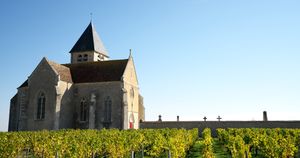 大人検定365　ワインに詳しくない場合、ワインリストのどこを見たらいいの？