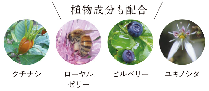 ★期間限定★値下げ！ウフドールモイスチャーリフトクリームEX (12個) 1年分 モイスチャーリフトクリーム ドラマティーク - ウフドール OEUF