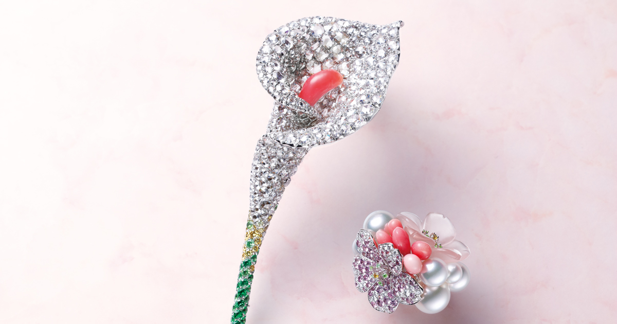 main_ba816cf32592815ae19bcbf64