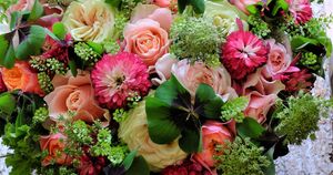 成人のお祝いに。選りすぐりのバラで作る「4種のバラのブーケ」