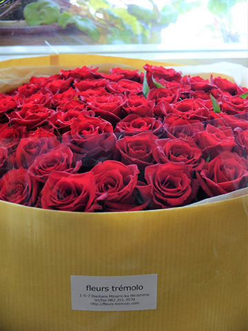 真っ赤なバラ「サムライ」で伝えたかった気持ちとは？ | 家庭画報.com