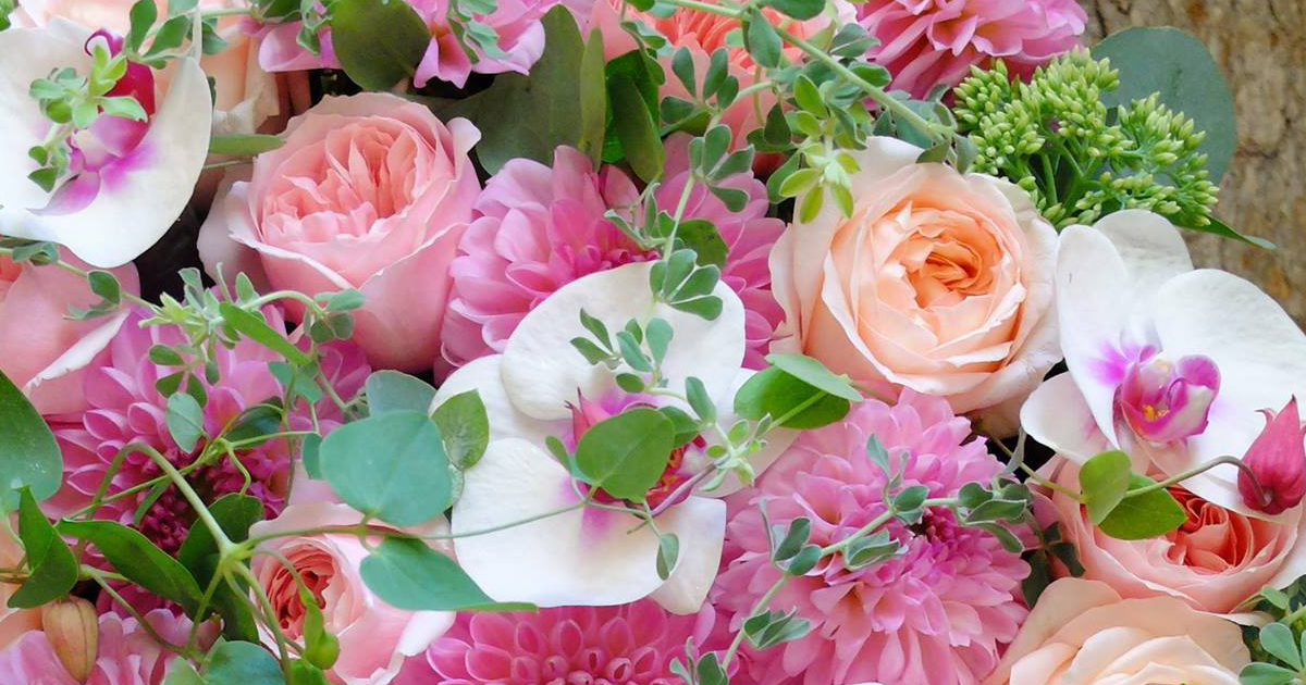 オズの魔法使い''天使の首飾り'。さて、どんなお花でしょう？