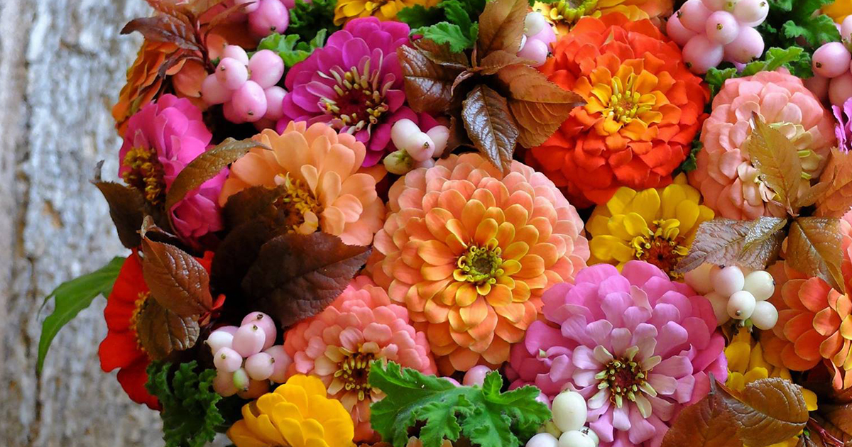 main_0f52c7d6ec80d85cf01210a56