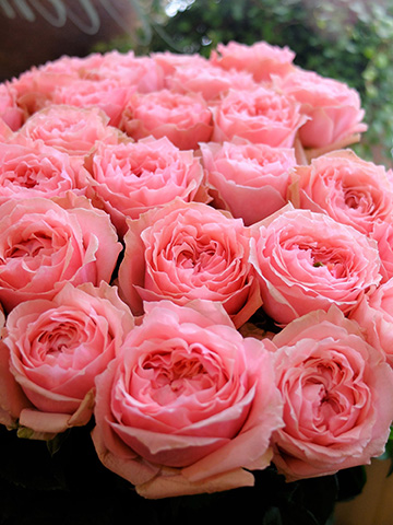 ヴィクトリアン天使のモーヴピンクシルク薔薇のスワッグ時代ものレア ヴィクトリアン天使のモーヴピンクシルク薔薇のスワッグ時代ものレア