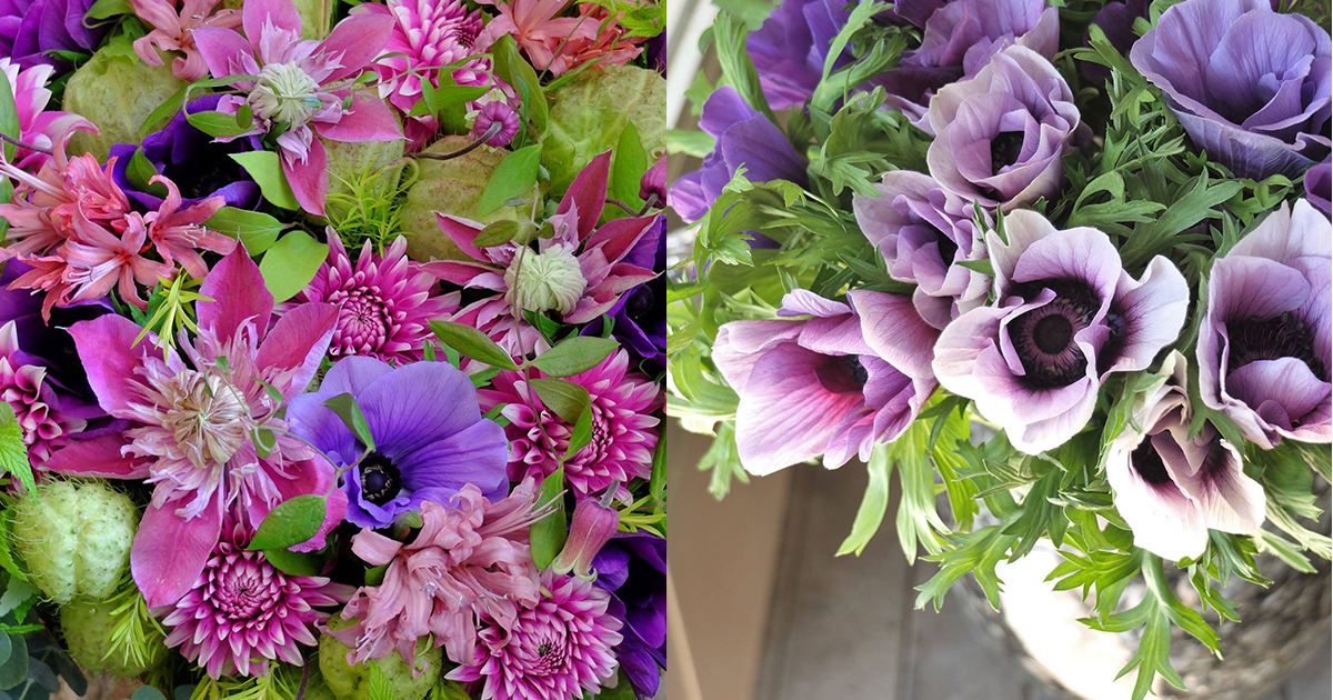 今年、初入荷のアネモネを使って。珍しい花を集めた季節ミックスの花束