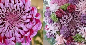 飛騨マムの巨大輪「花魁」を印象的に配した、シックな秋のアレンジ