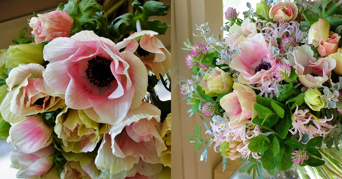 main_4659e5c587a29e886e826f8d8