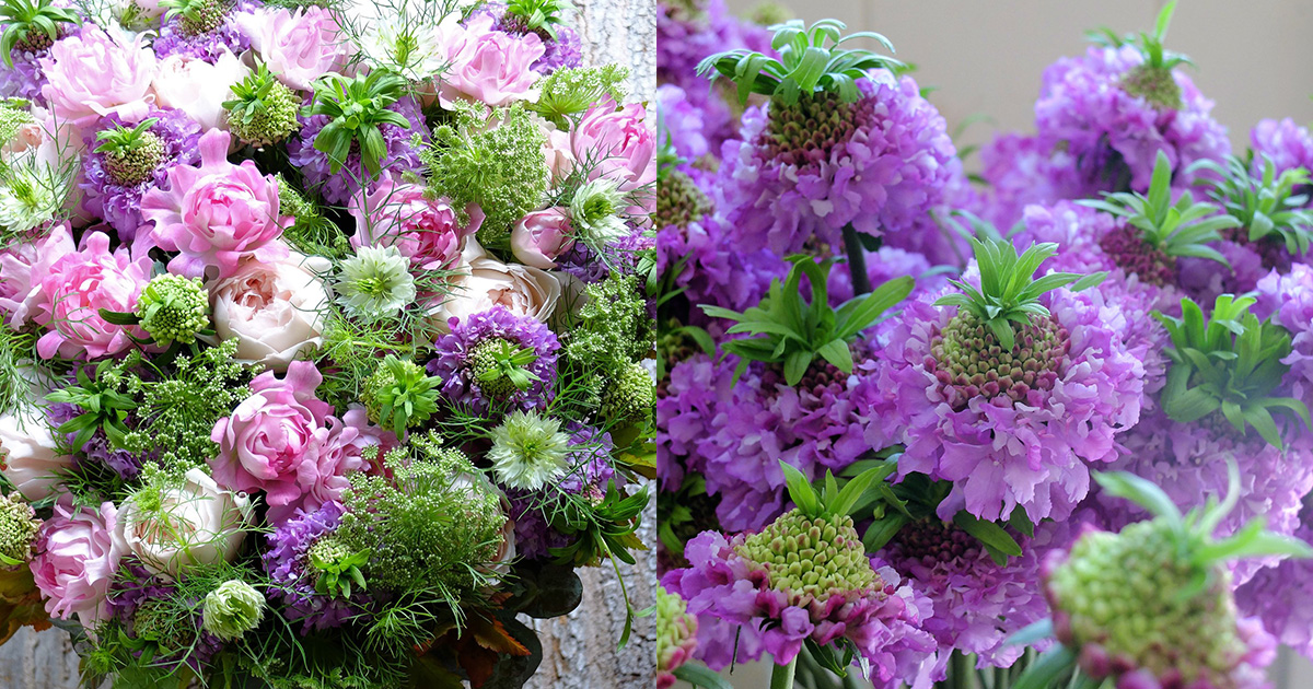 可愛い！「チョンマゲ市助」という花に思わず微笑んでしまうアレンジ