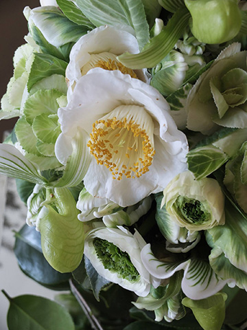 ☆椿☆プロフィール必読✩.*様 リクエスト 8点 まとめ商品 椿 小粋 (@koiki_tubaki) / X