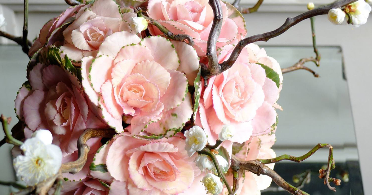 来客を迎えるのにぴったり。新年を祝う、葉牡丹と雲竜梅のモダンなアレンジ