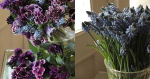 男性への贈り花にもぴったり！「春の紫」を束ねたブーケ